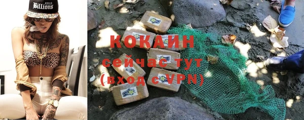 молекула духа Горно-Алтайск