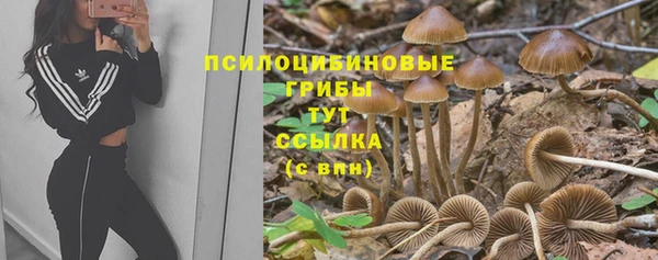 кокаин Горнозаводск