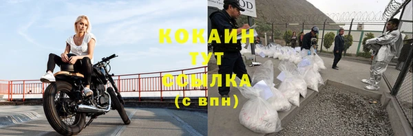 молекула духа Горно-Алтайск