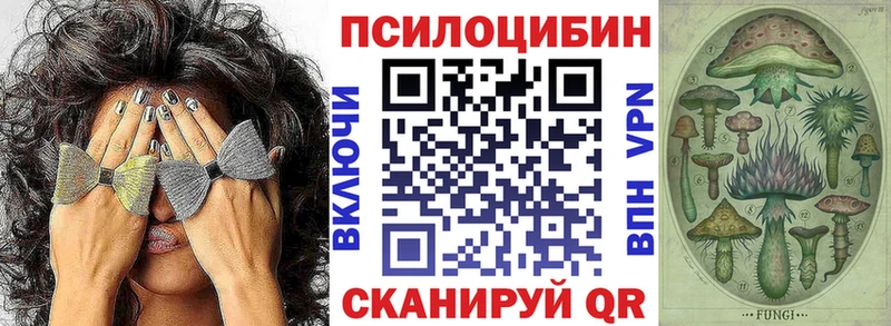 Псилоцибиновые грибы мицелий  Купить где  Ковылкино 